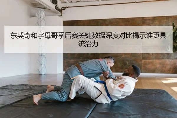 东契奇和字母哥季后赛关键数据深度对比揭示谁更具统治力