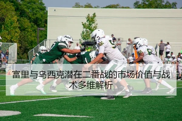 富里与乌西克潜在二番战的市场价值与战术多维解析